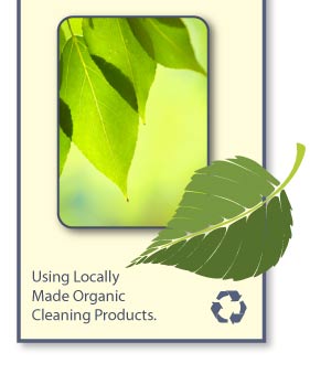 Using Locally Made Organic Cleaning Products